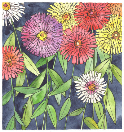 Katie Eberts Illustration