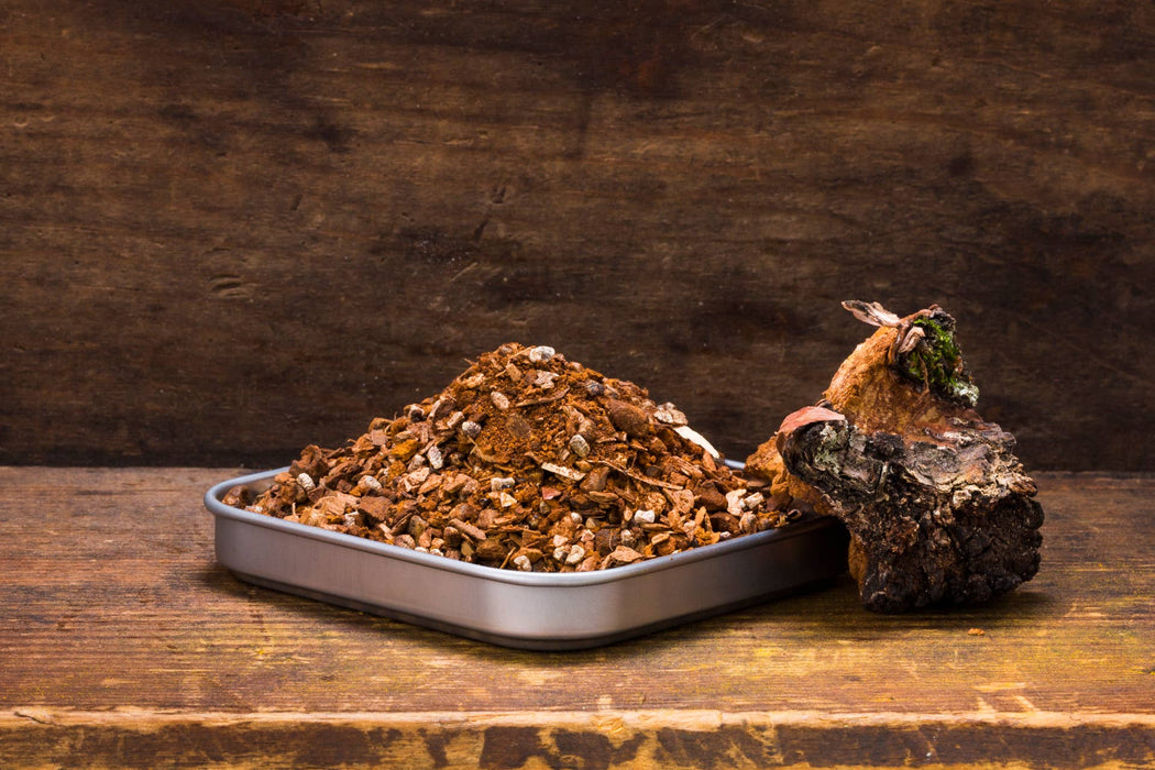Chaga Mushroom Chai Tea - Non-Caffeinated - Bear Earth Herbals