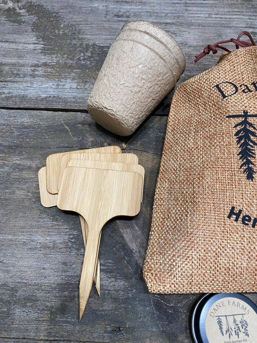 Herb Garden Seed Growing Kit