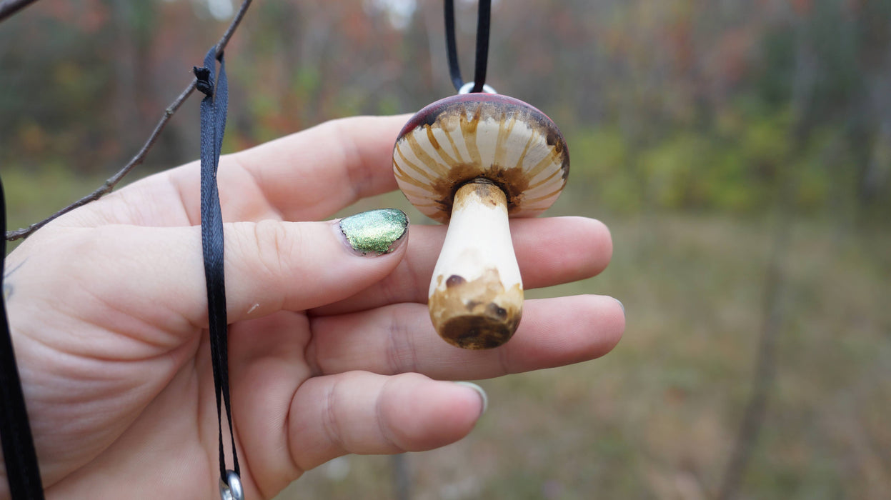 Hand-Painted Wooden Mushroom Hanging Ornaments - Goblin Grimm