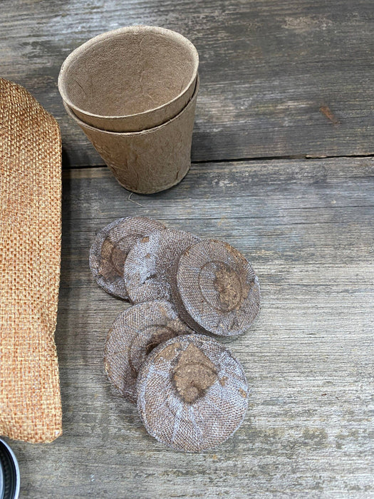 Herb Garden Seed Growing Kit