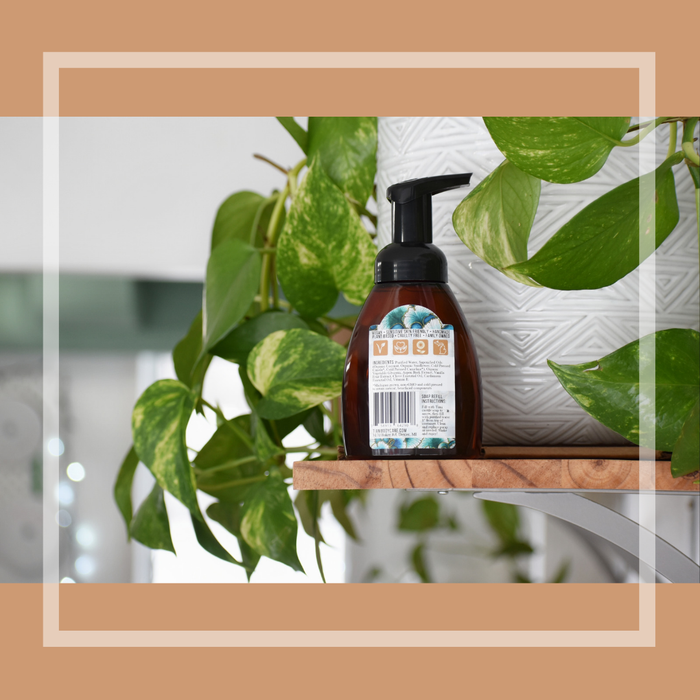 Foaming Soap: Vanilla Chai - Tiani Body Care
