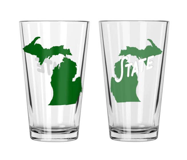 Collegiate Pint Glass Michigan State - City Bird