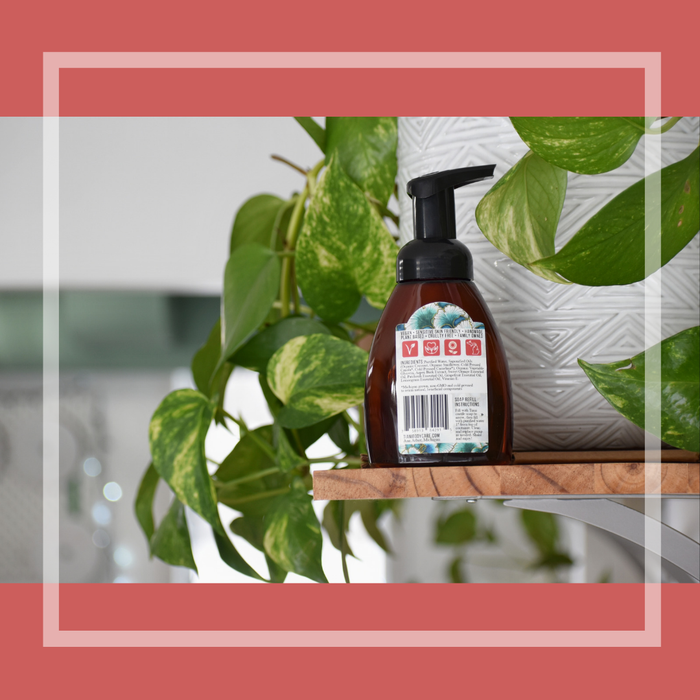 Foaming Soap: Grapefruit Patchouli - Tiani Body Care