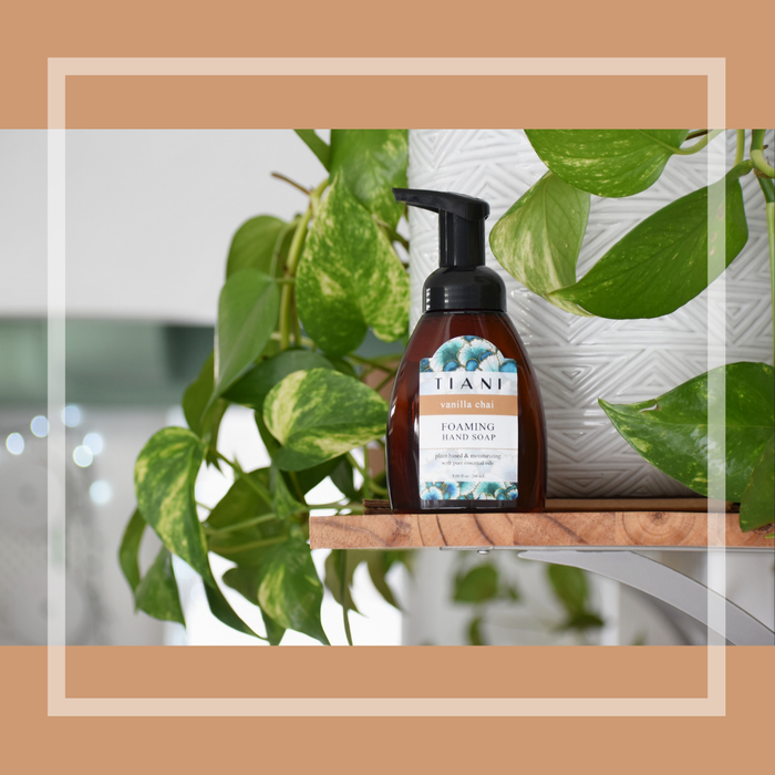 Foaming Soap: Vanilla Chai - Tiani Body Care