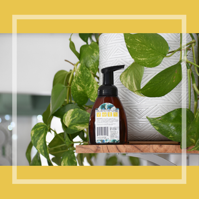 Foaming Soap: Lemongrass - Tiani Body Care