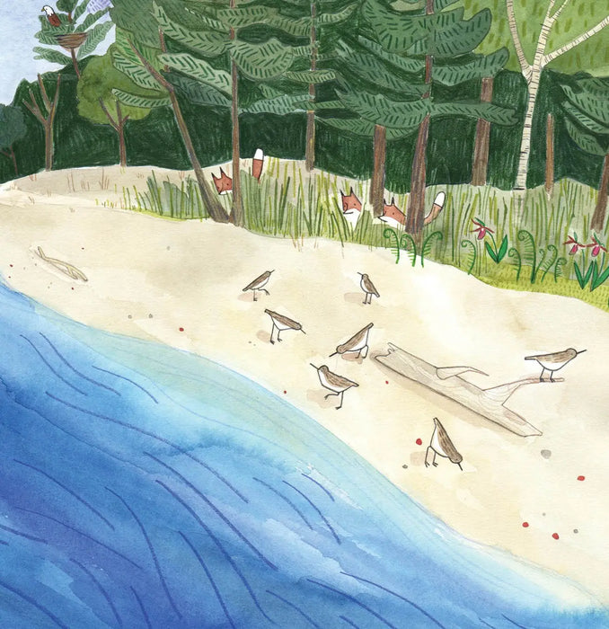 Hush-a-Bye Night: Goodnight Lake Superior - Illustrated by Katie Eberts Illustration