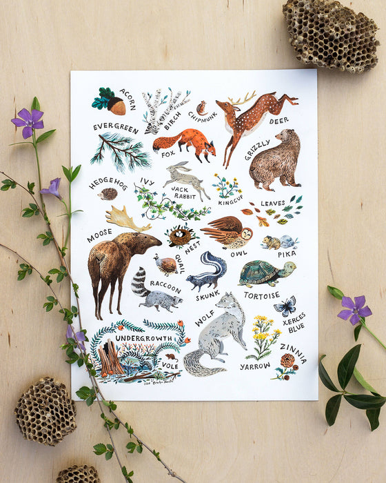 Wilderness Alphabet Art Print by Wildship Studio