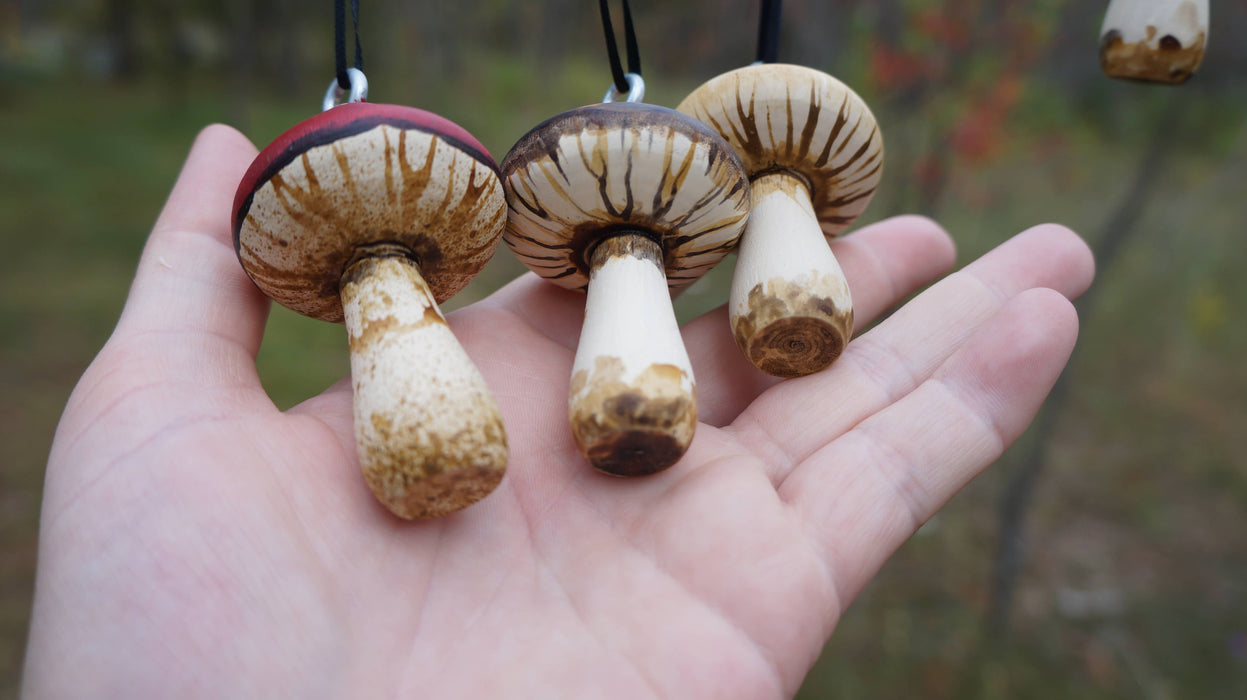Hand-Painted Wooden Mushroom Hanging Ornaments - Goblin Grimm