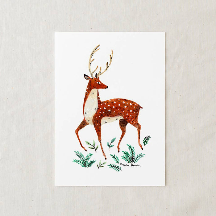 Deer Art Print - Wildship Studio