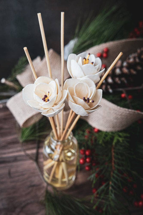 Reed Scent Diffusers - Holiday Collection by Dogkind Candle Co.