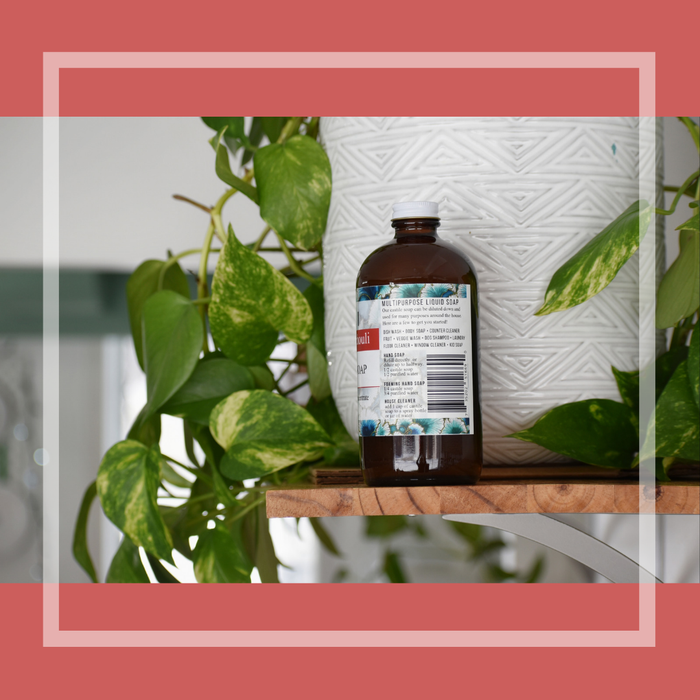 Castile Soap: Grapefruit Patchouli - Tiani Body Care