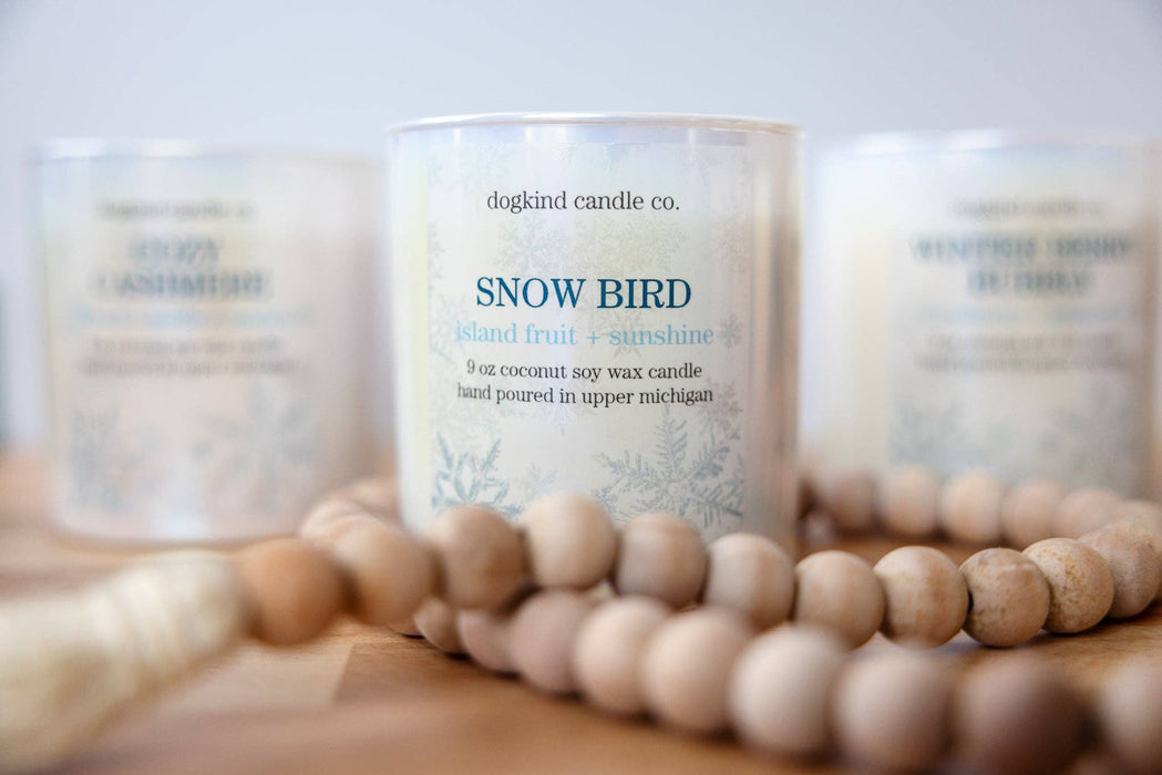 Snow Bird - island fruit + sunshine - Dogkind Candle Co.