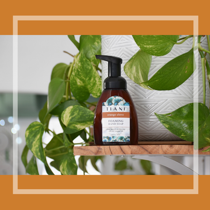 Foaming Soap: Orange Clove - Tiani Body Care