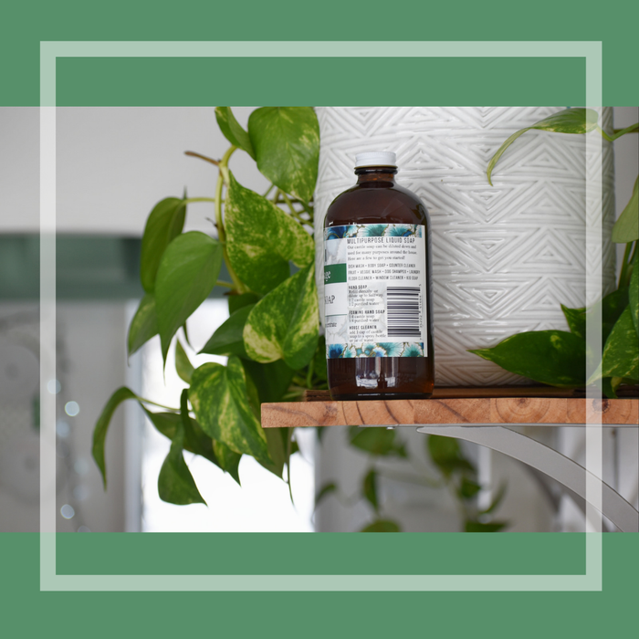 Castile Soap: Peppermint Sage - Tiani Body Care