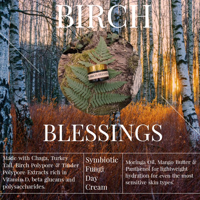 Birch Blessings Symbiotic Facial Cream - Flora + Fungi