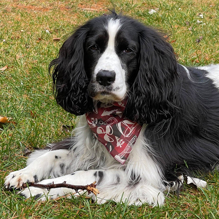 Michigan Cotton Pet Bandana - Peninsulas