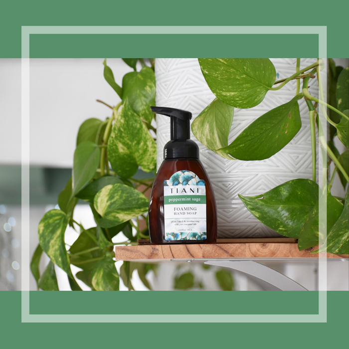 Foaming Soap: Peppermint Sage - Tiani Body Care