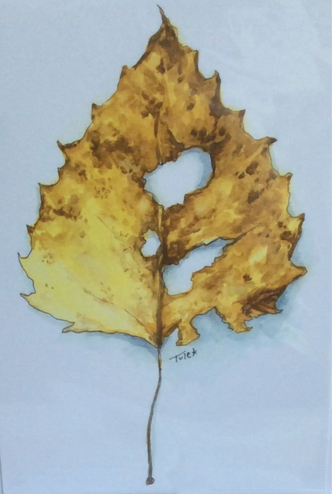 Aspen Leaf Greeting Card - Sarah Tule