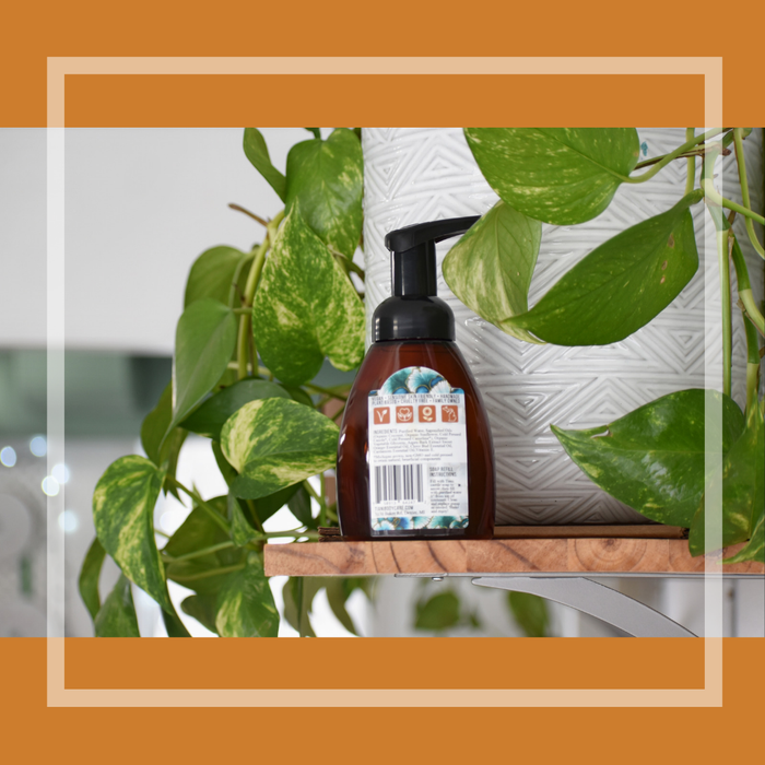 Foaming Soap: Orange Clove - Tiani Body Care