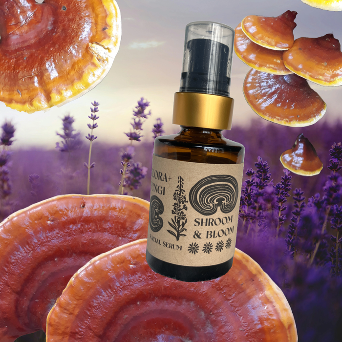 Shroom+Bloom Lavender Reishi Serum - Flora + Fungi