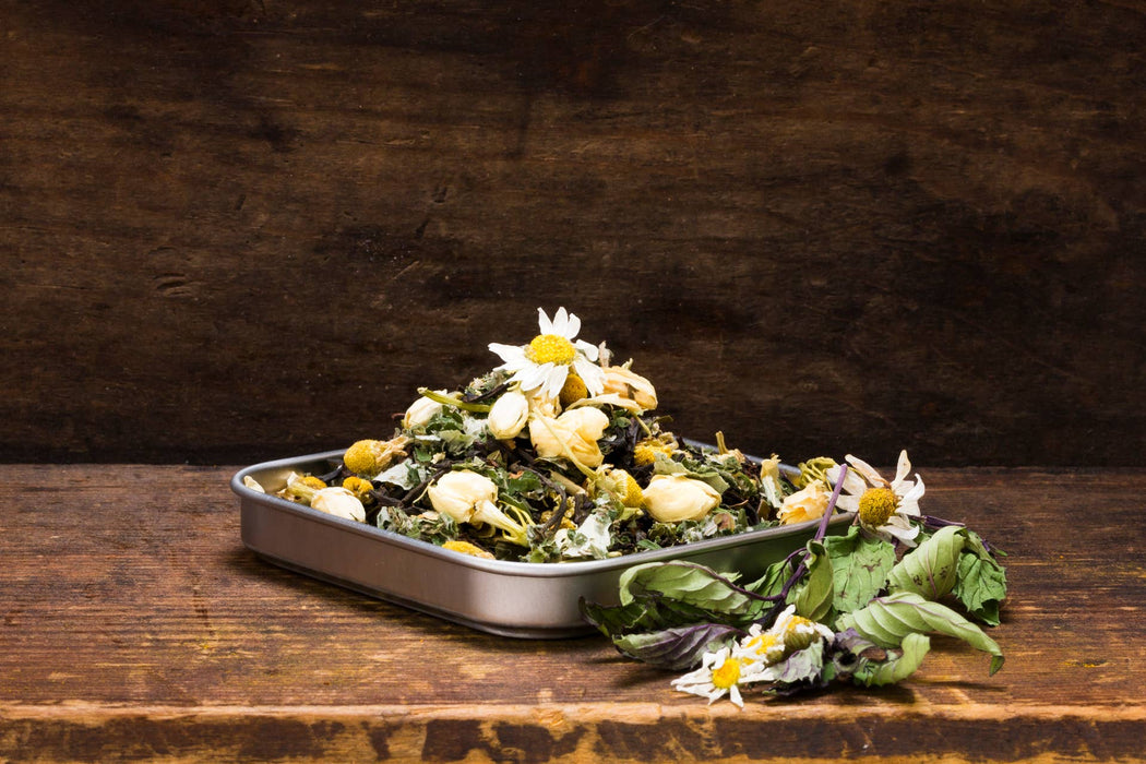 Black Bear Tea - Bear Earth Herbals