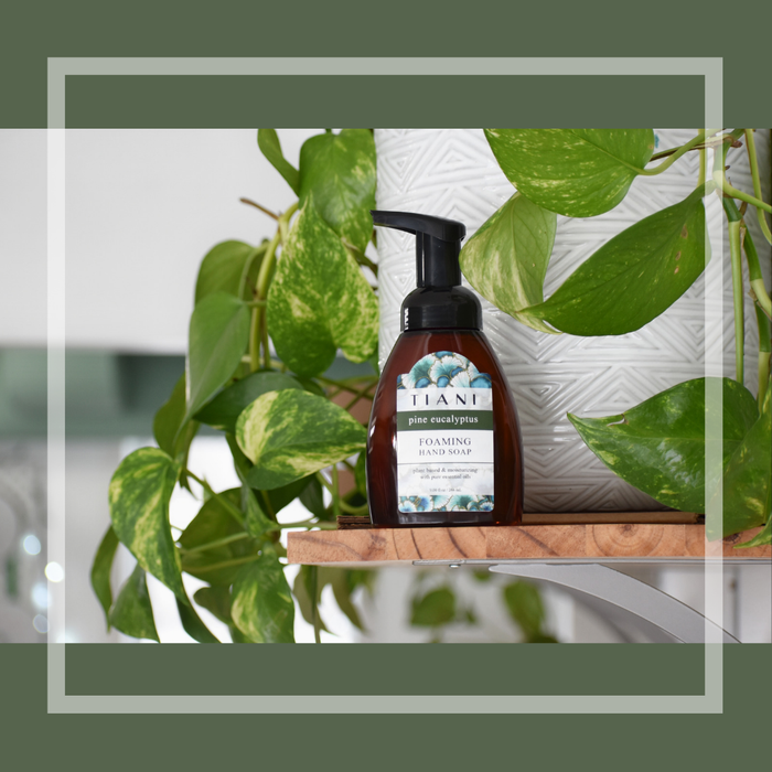 Foaming Soap: Pine Eucalyptus - Tiani Body Care