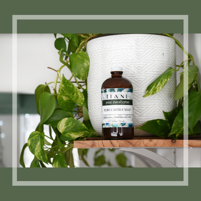 Castile Soap: Pine Eucalyptus - Tiani Body Care