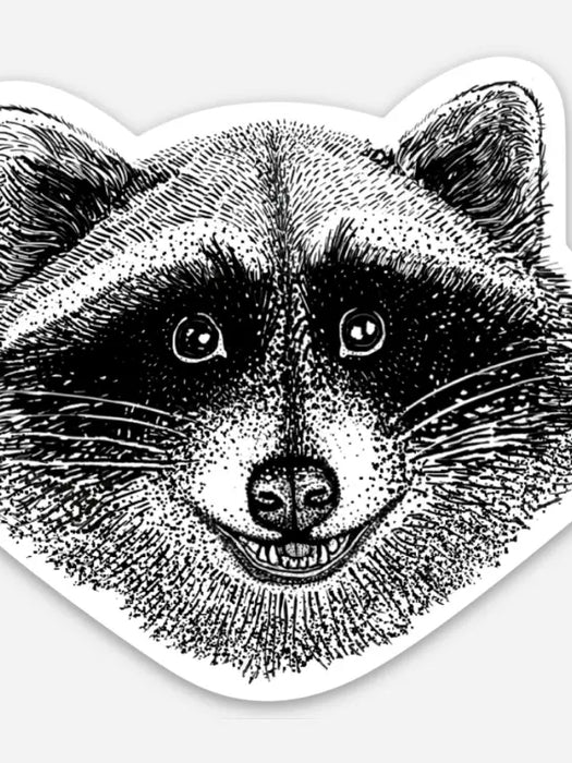 Raccoon Face Sticker by Nature Walk