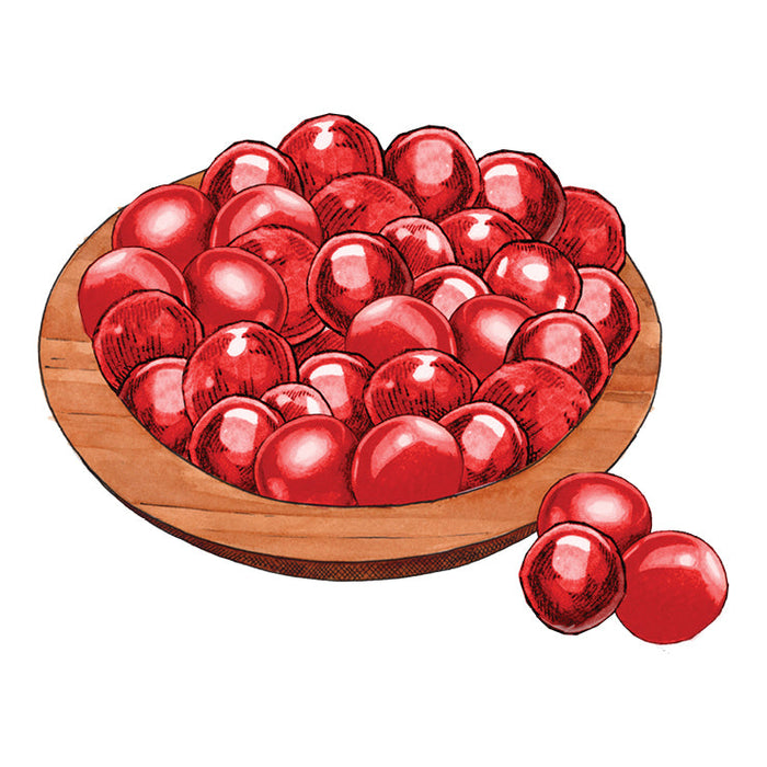 Double-Dipped Cherry Malted Milk Balls - Cherry Republic
