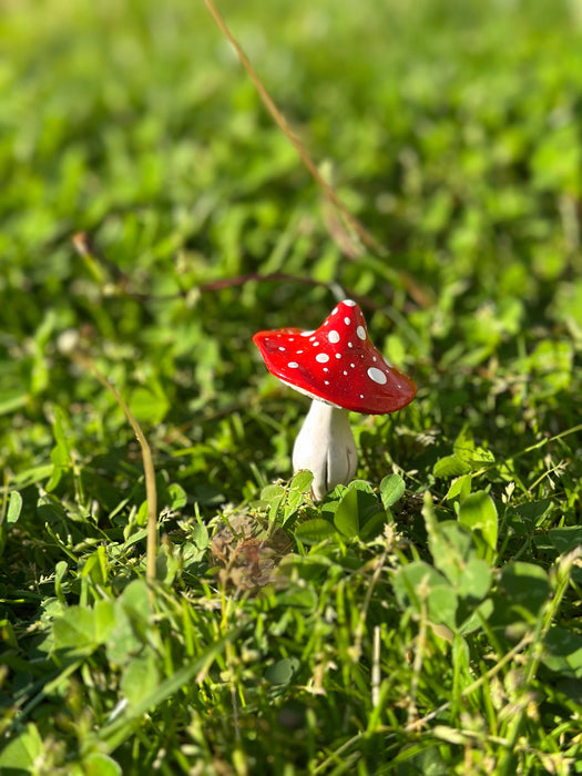Mushroom Garden Pals Plant Stakes - Making Olas