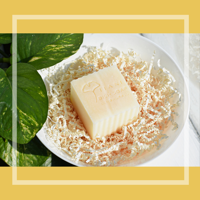 Solid Dish Soap: Lemongrass - Tiani Body Care