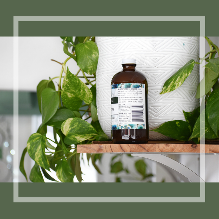 Castile Soap: Pine Eucalyptus - Tiani Body Care