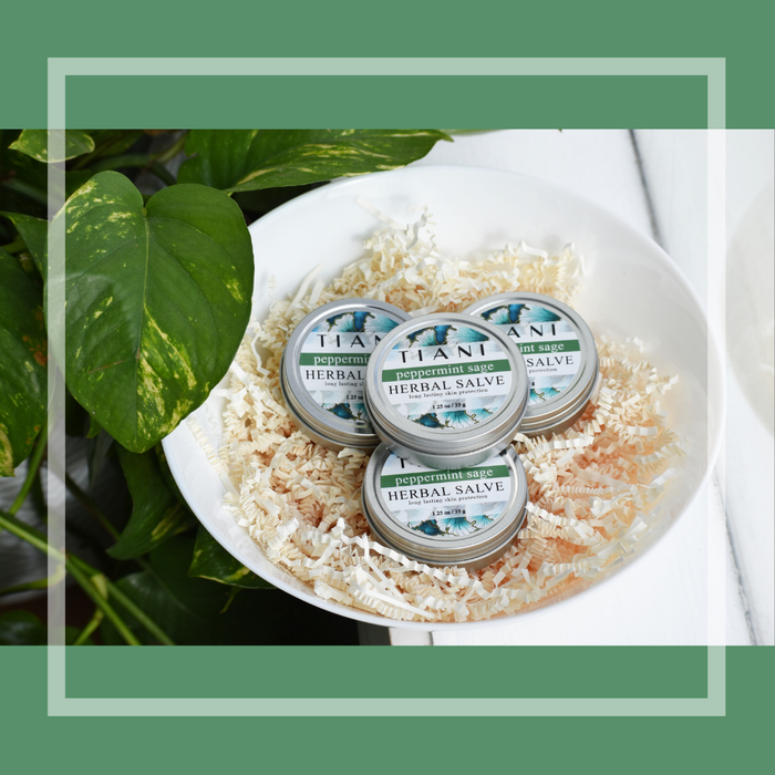Salve: Peppermint Sage - Tiani Body Care