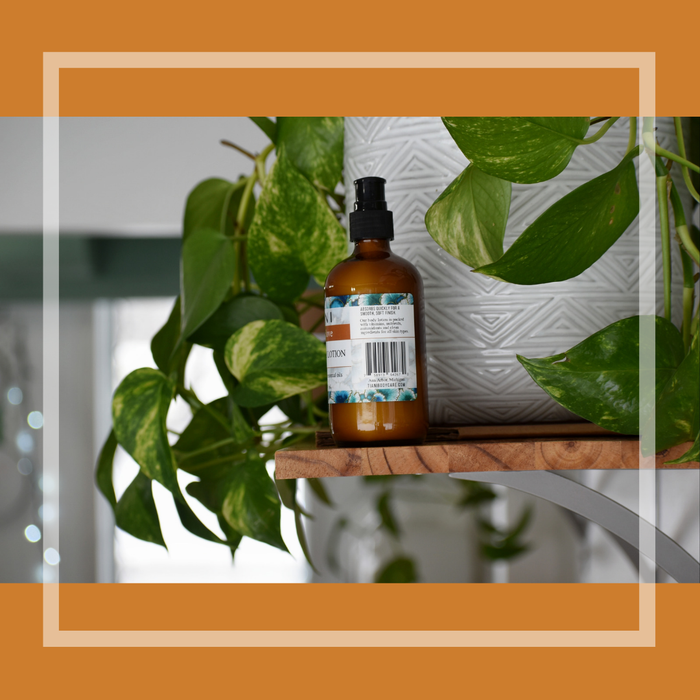 Body Lotion: Orange Clove - Tiani Body Care