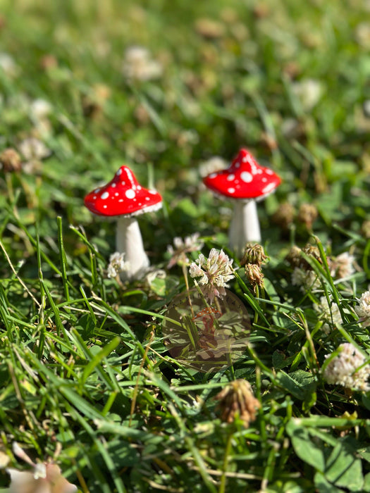 Mushroom Garden Pals Plant Stakes - Making Olas