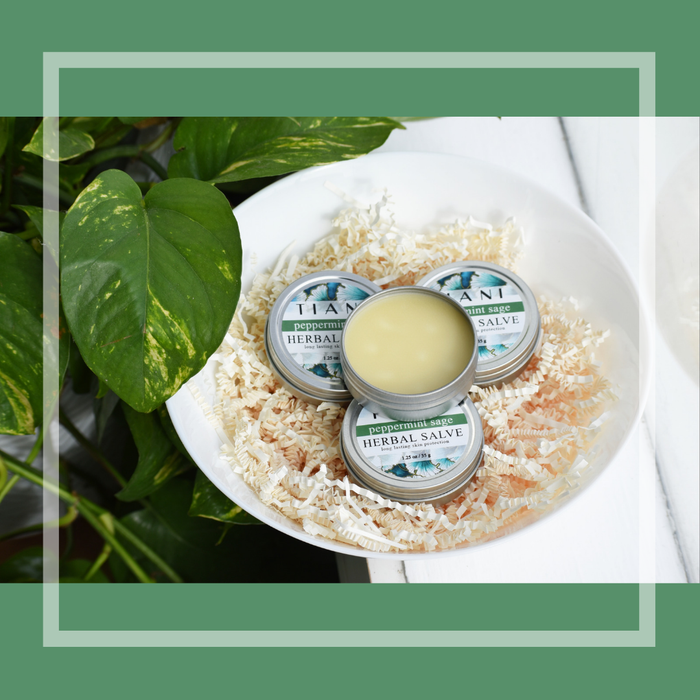 Salve: Peppermint Sage - Tiani Body Care