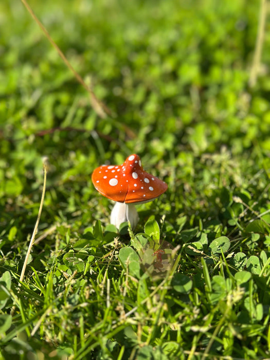 Mushroom Garden Pals Plant Stakes - Making Olas