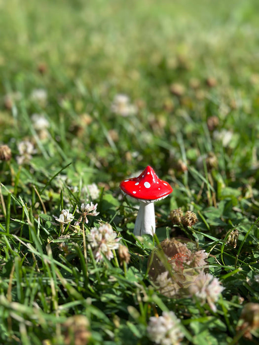 Mushroom Garden Pals Plant Stakes - Making Olas