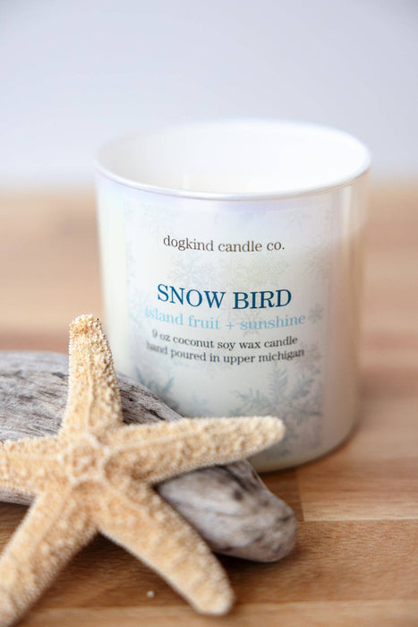 Snow Bird - island fruit + sunshine - Dogkind Candle Co.
