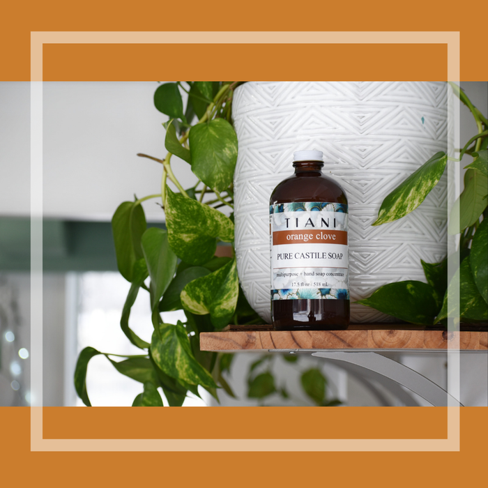 Castile Soap: Orange Clove - Tiani Body Care