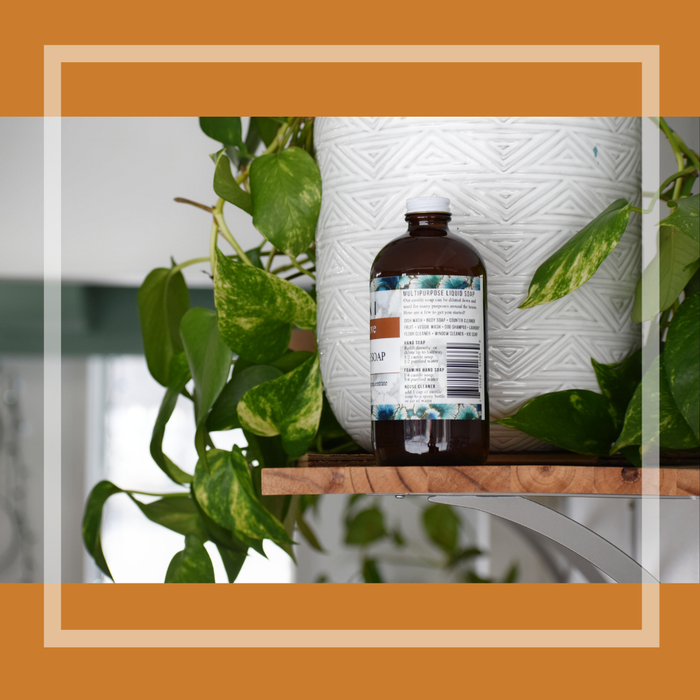 Castile Soap: Orange Clove - Tiani Body Care