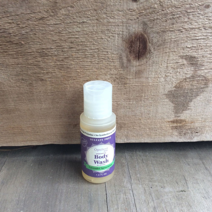 Lavender Spearmint Travel Essentials Bath & Body Care by Opulent Blends-BodyWash