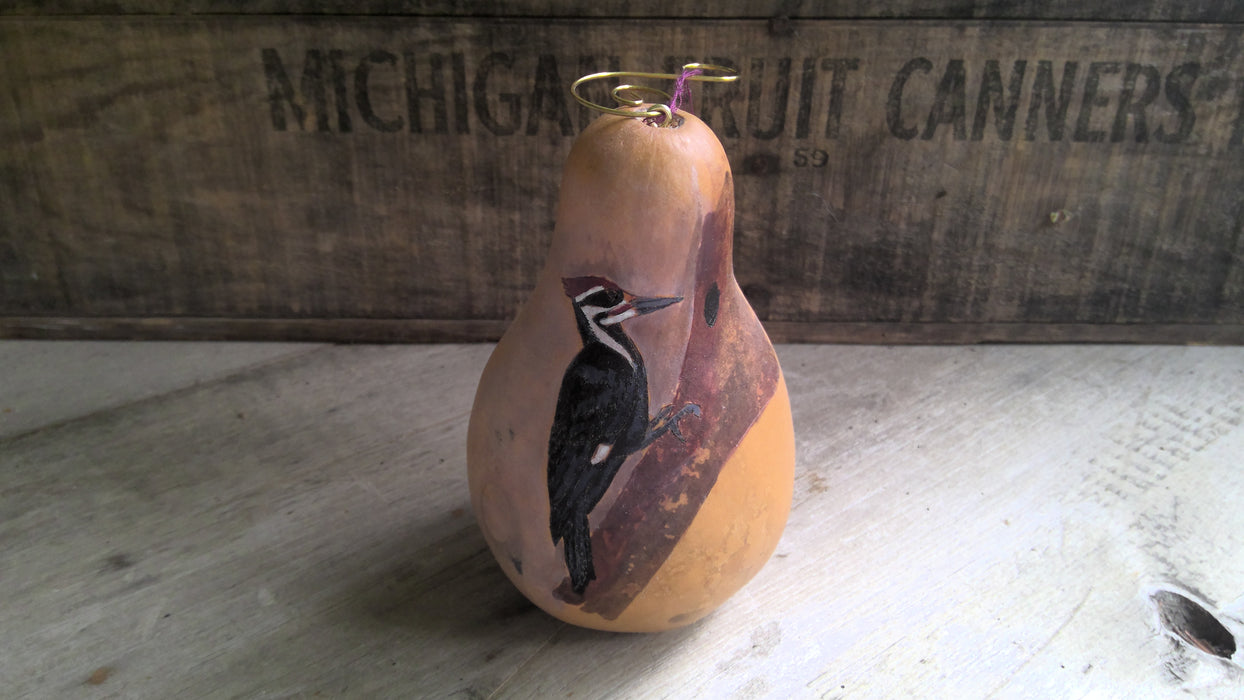 Hand Painted Bird Gourds