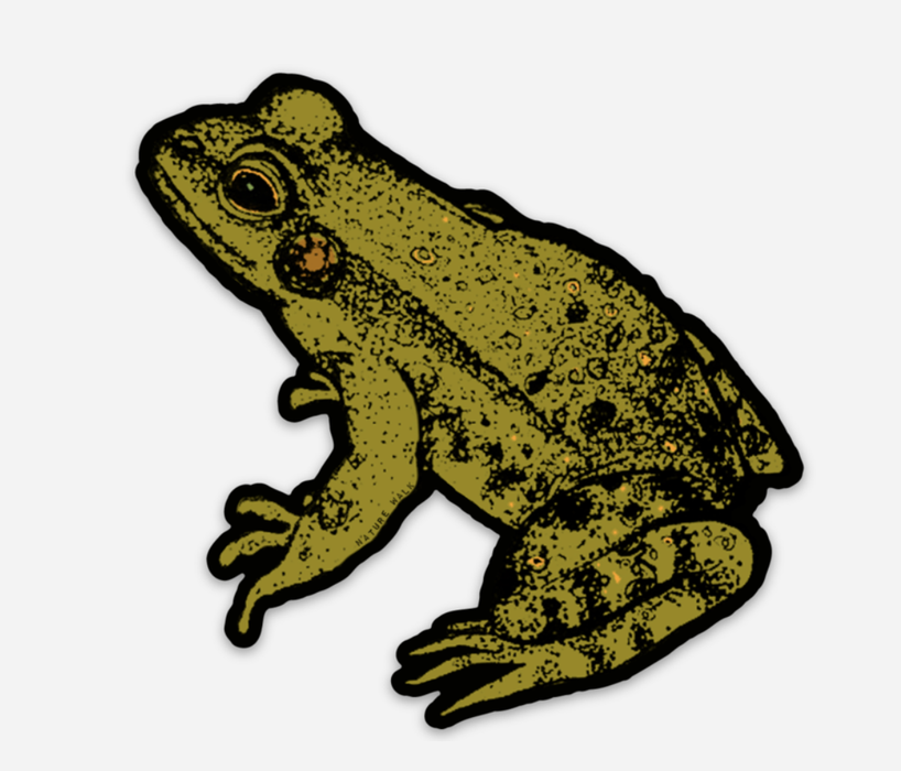 Frog Sticker by Nature Walk Studio