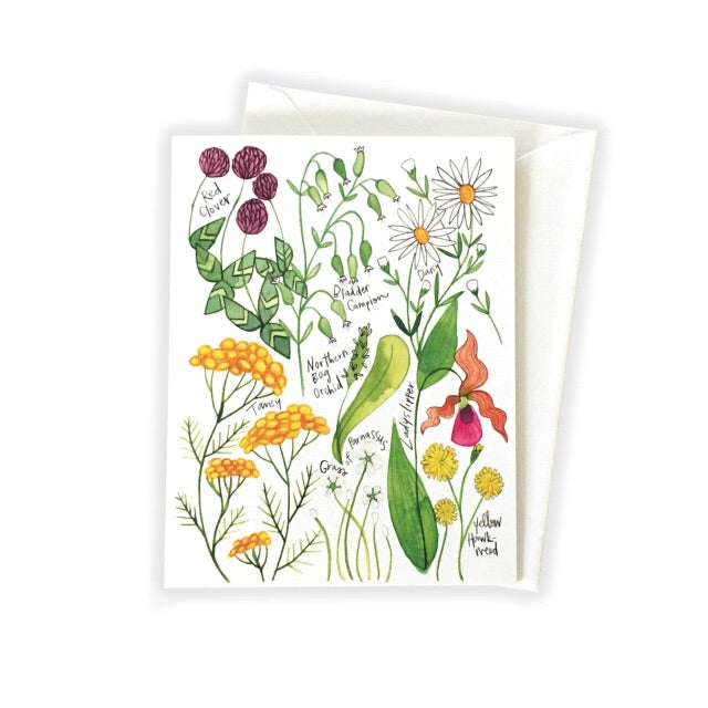 Northern Wildflowers Card by Katie Eberts Illustration