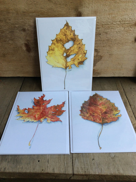 Leaf Greeting Card by Sarah Tule
