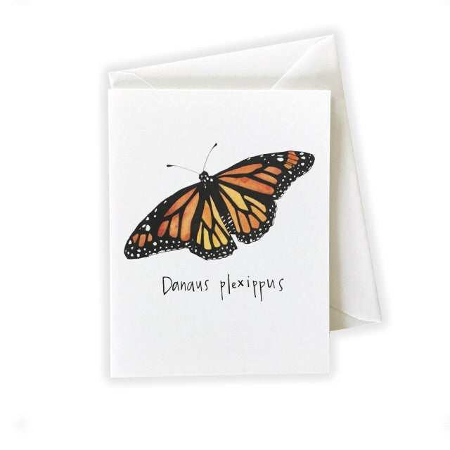Monarch (Danaus Plexippus) Card by Katie Eberts Illustration